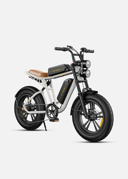 ENGWE M20